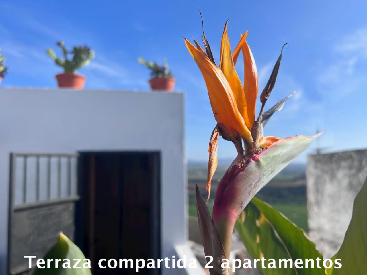 Casa Abades Arcos De La Frontera Apartamento Exterior foto